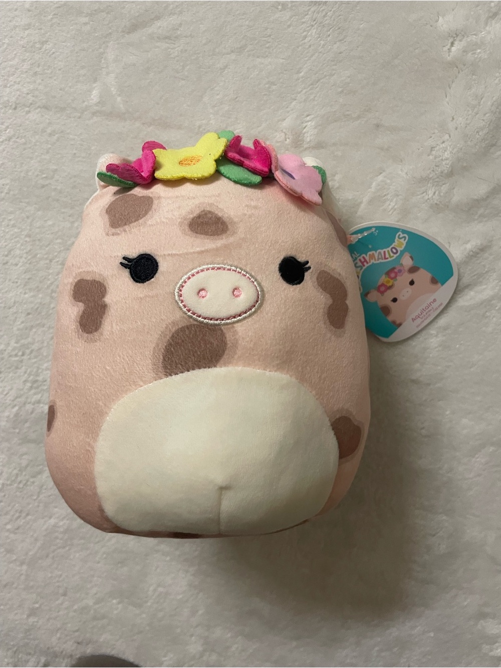 NWT - Squishmallows - Aquitaine the Pig